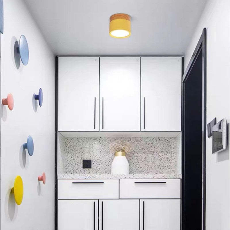 Morandi Style Modern LED Ceiling Lamp - LumiModo | Stornfield
