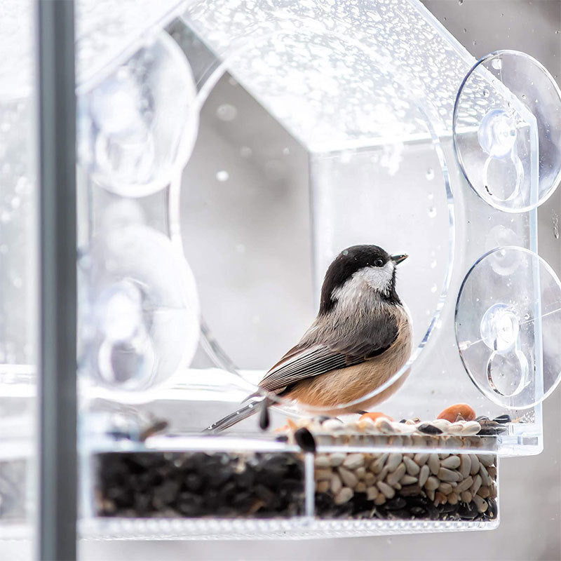 Smart Bird Feeder with Live Camera | Stornfield