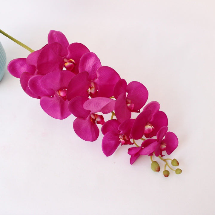 Elegant Orchid Stem