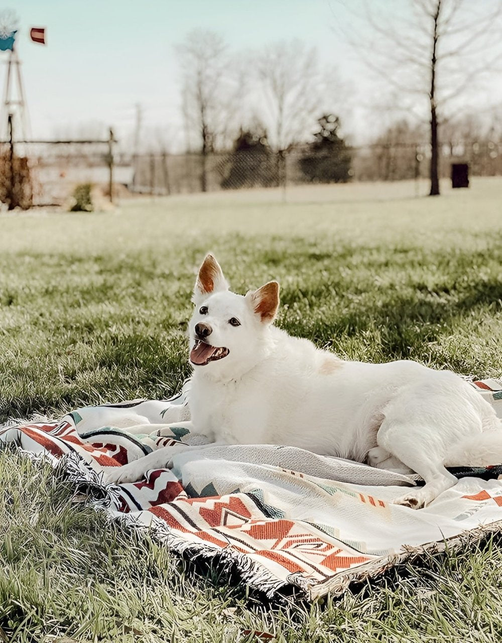 Reversible Picnic Mat | Stornfield