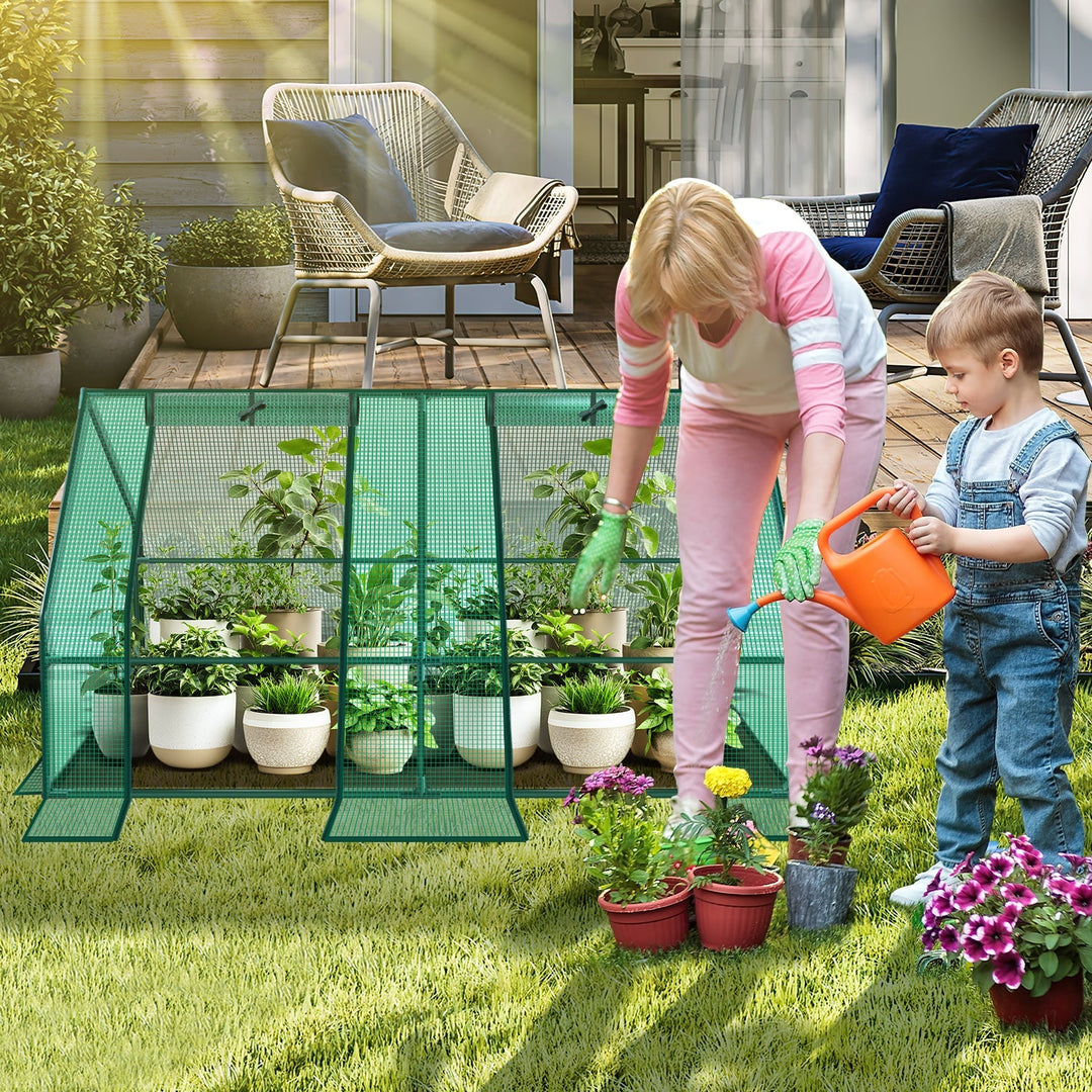Greenhouse Tomato Greenhouse Hothouse | Stornfield
