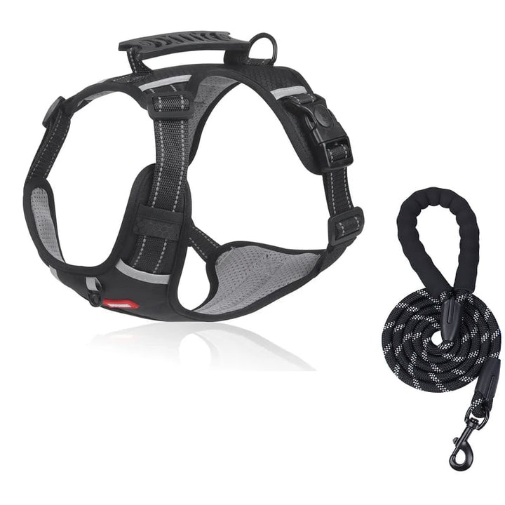 Stornfield | No-pull Dog Harness for Pets