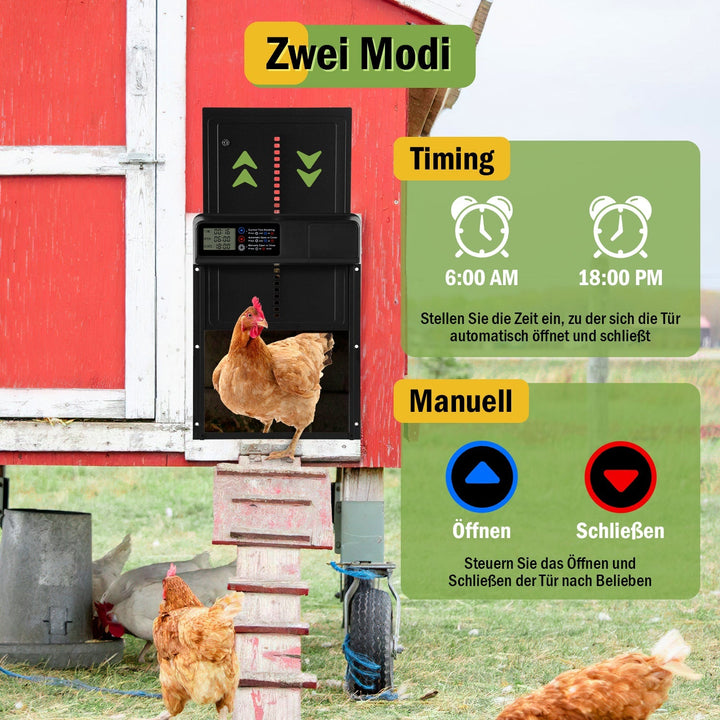 Chicken flap automatic timer | Stornfield