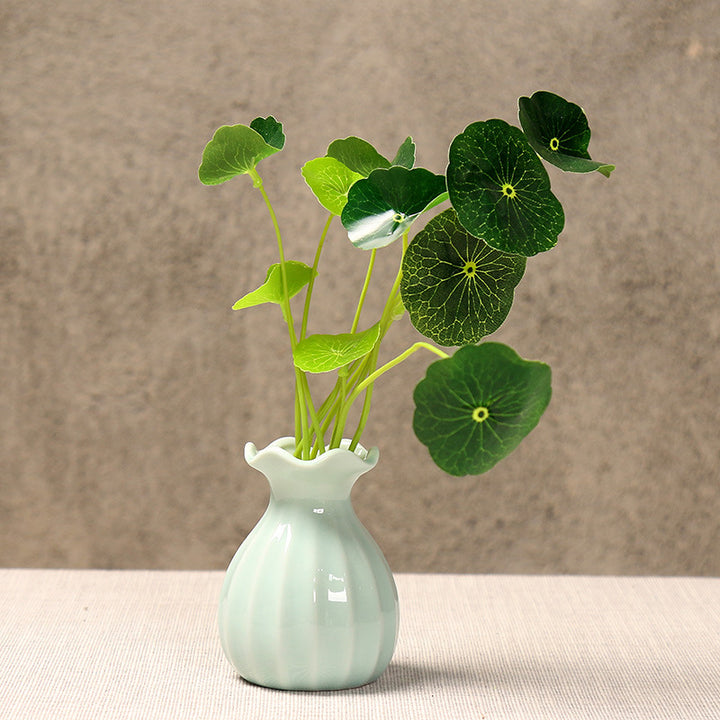 Elegant Curved Ceramic Flower Vase Stornfeild