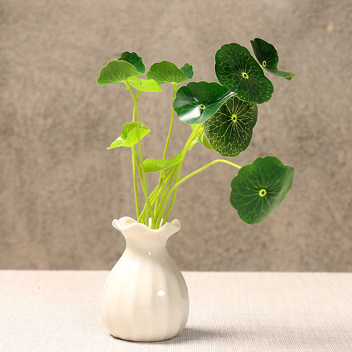 Elegant Curved Ceramic Flower Vase Stornfeild