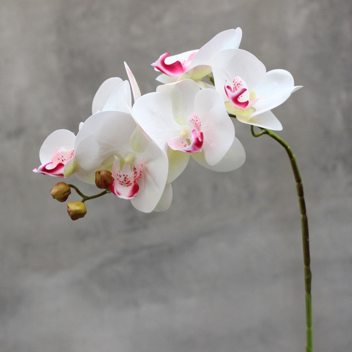 Realistic Artificial Orchid Stem