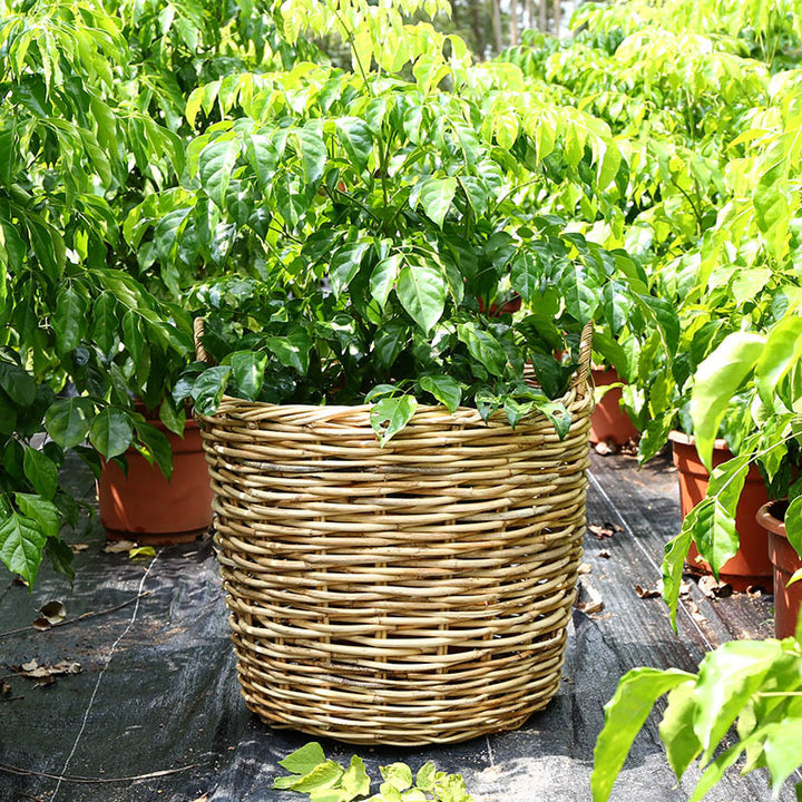 Unisex storage basket made of handwoven material Stornfield