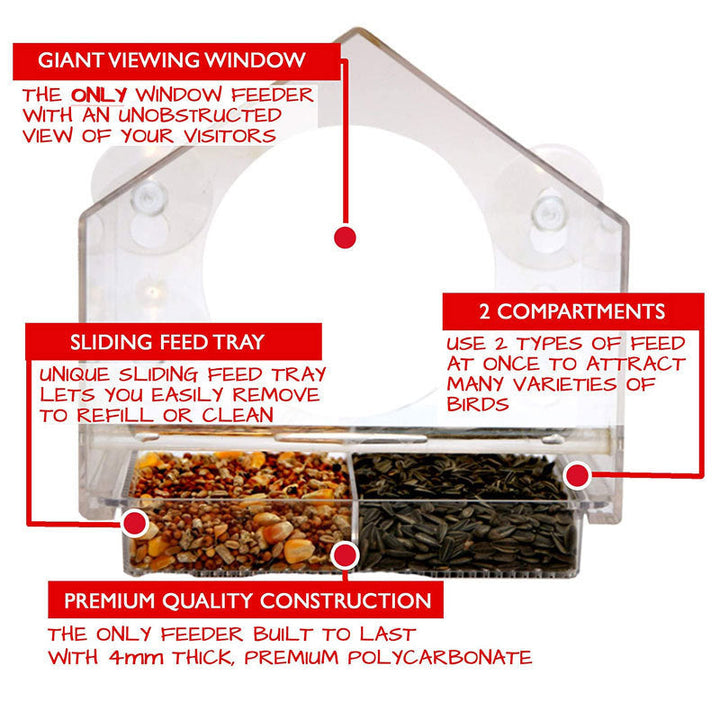 Smart Bird Feeder with Live Camera | Stornfield