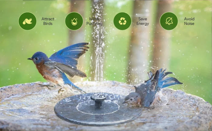 SolarSprudelX — Turn your garden into a stunning natural oasis full of life and magic! | Stornfield