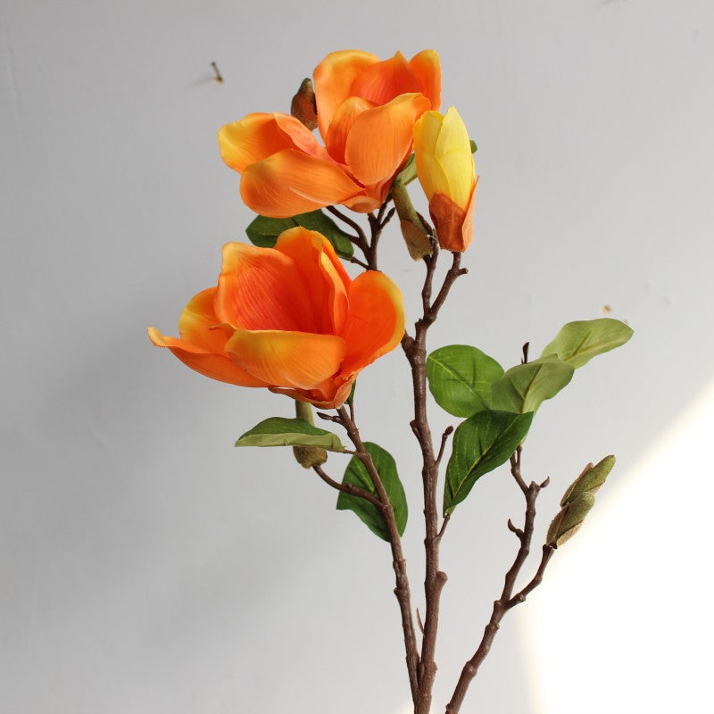 Realistic Magnolia Blossom Stem