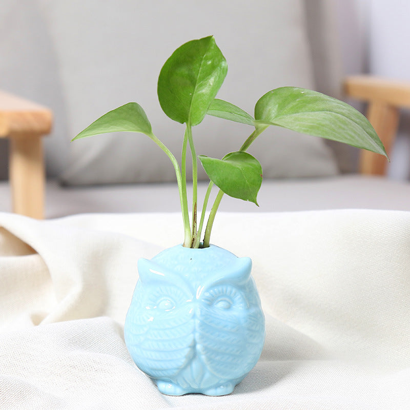 Owl-Shaped Succulent Planter Stornfeild