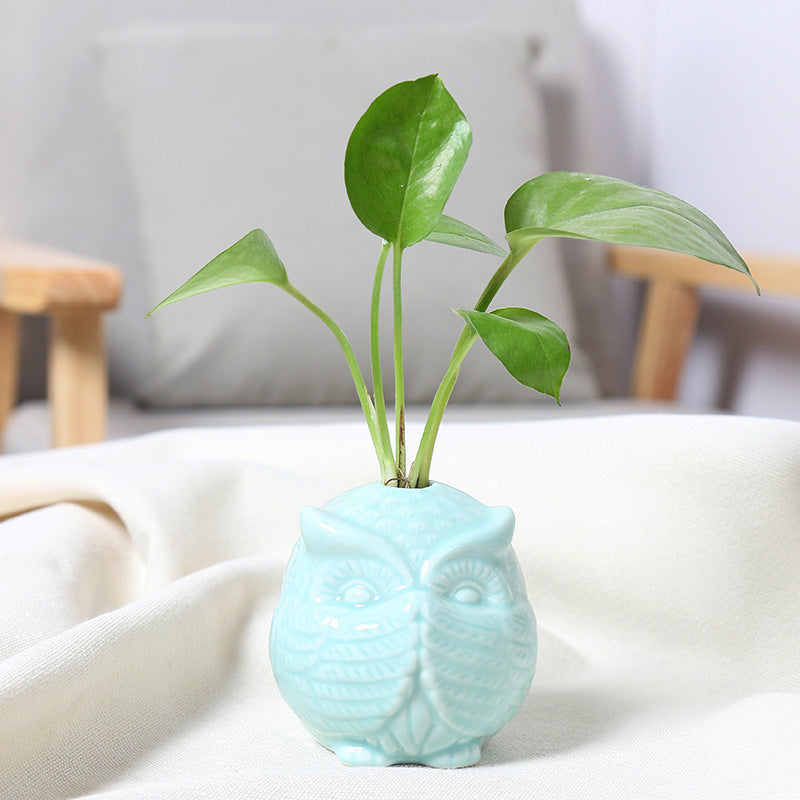 Owl-Shaped Succulent Planter Stornfeild
