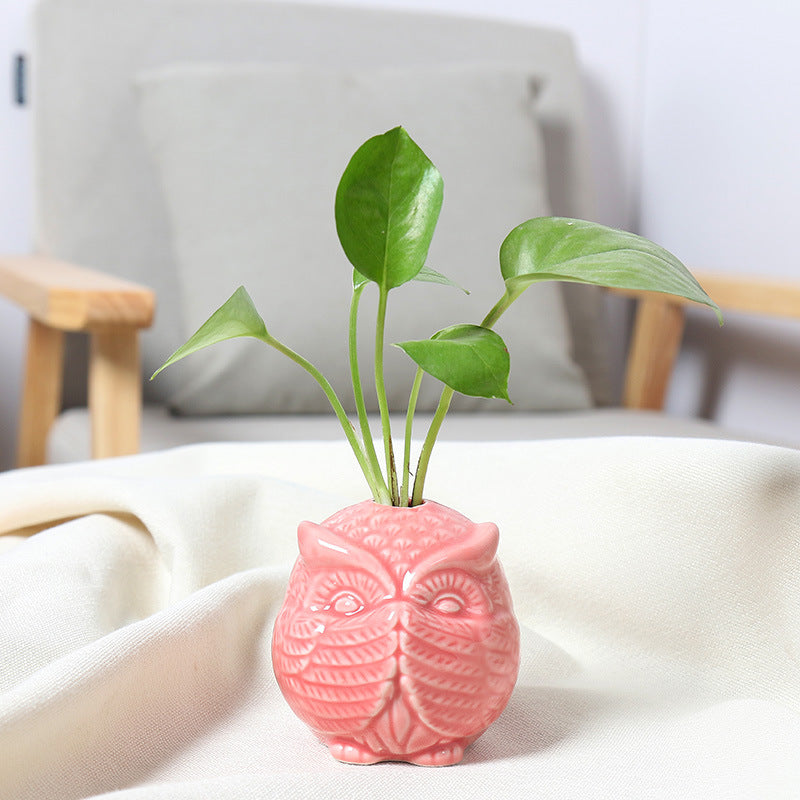 Owl-Shaped Succulent Planter Stornfeild