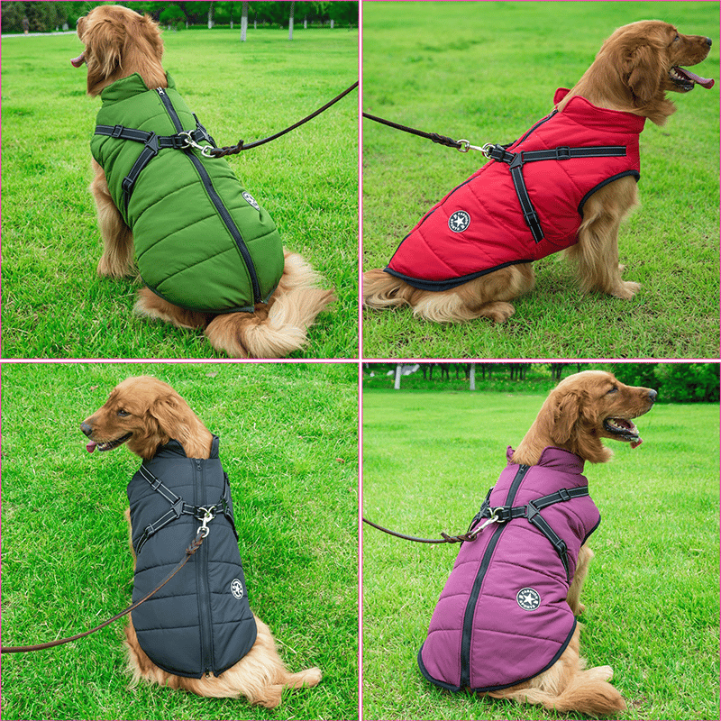 Winter Dog Jacket with Harness | Stornfield