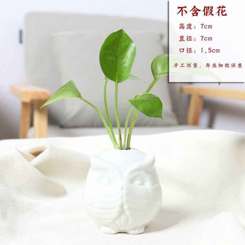 Owl-Shaped Succulent Planter Stornfeild