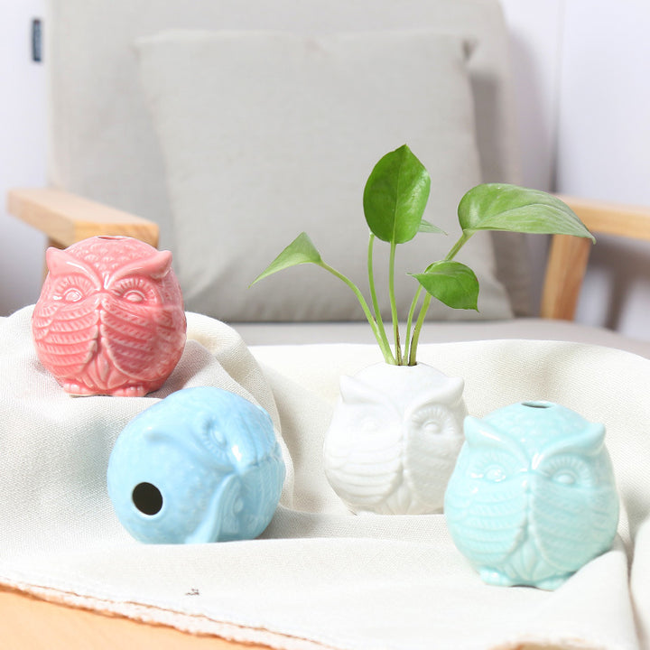 Owl-Shaped Succulent Planter Stornfeild