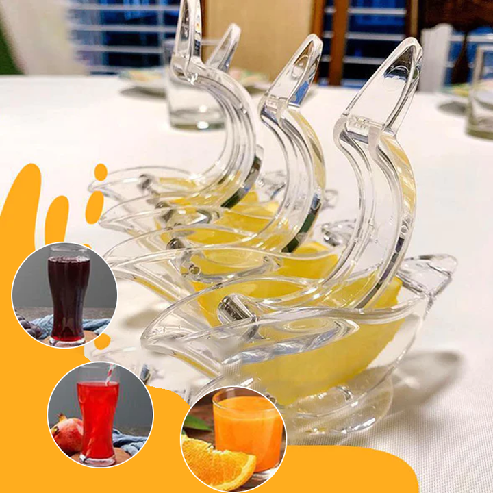 Transparent Manual Juicer | Stornfield