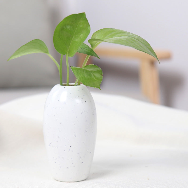 Elegant Ceramic Planter Stornfeild