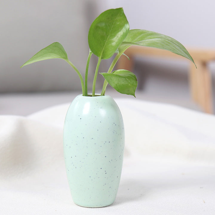 Elegant Ceramic Planter Stornfeild