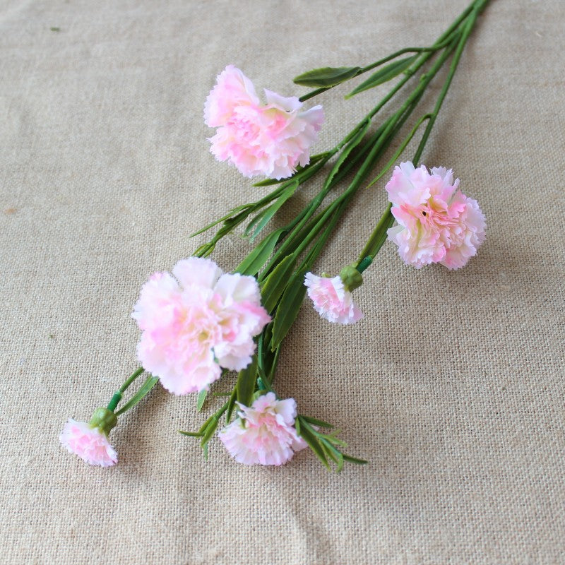 Realistic Carnation Floral Stem