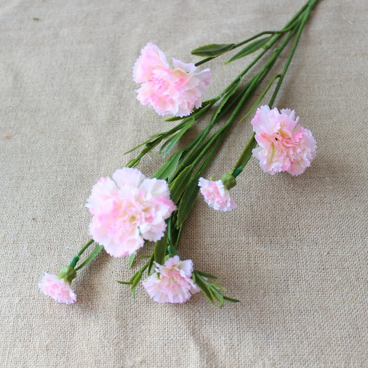 Realistic Carnation Floral Stem