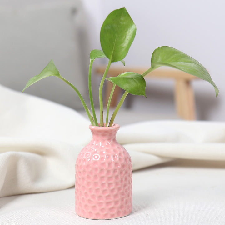 Artistic Ceramic Miniature Vases Stornfeild
