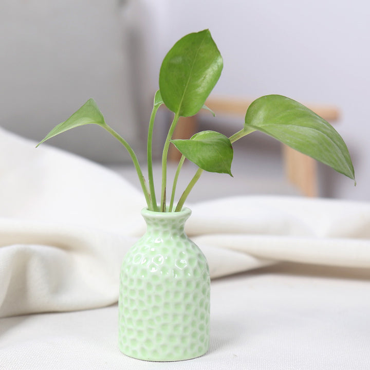 Textured Ceramic Plant Holder Stornfeild