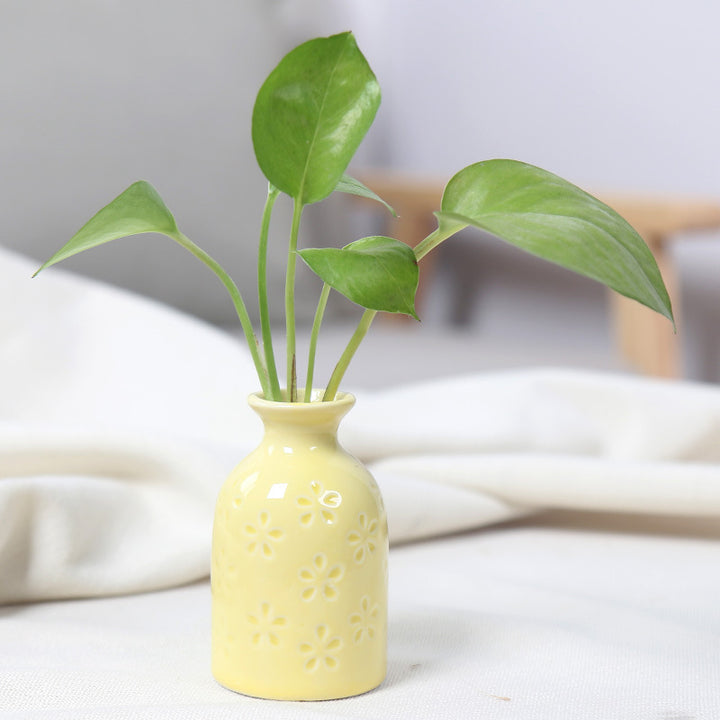 Artistic Ceramic Miniature Vases Stornfeild