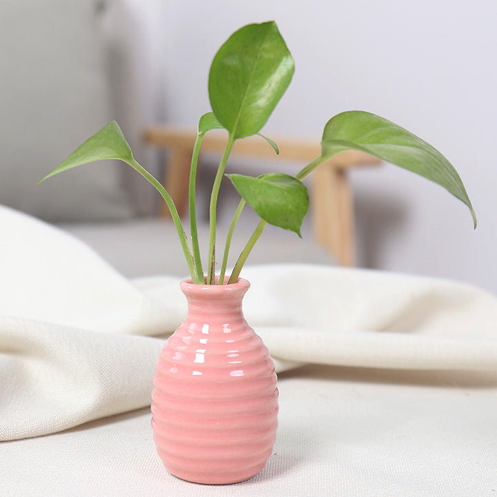 Artistic Ceramic Miniature Vases Stornfeild