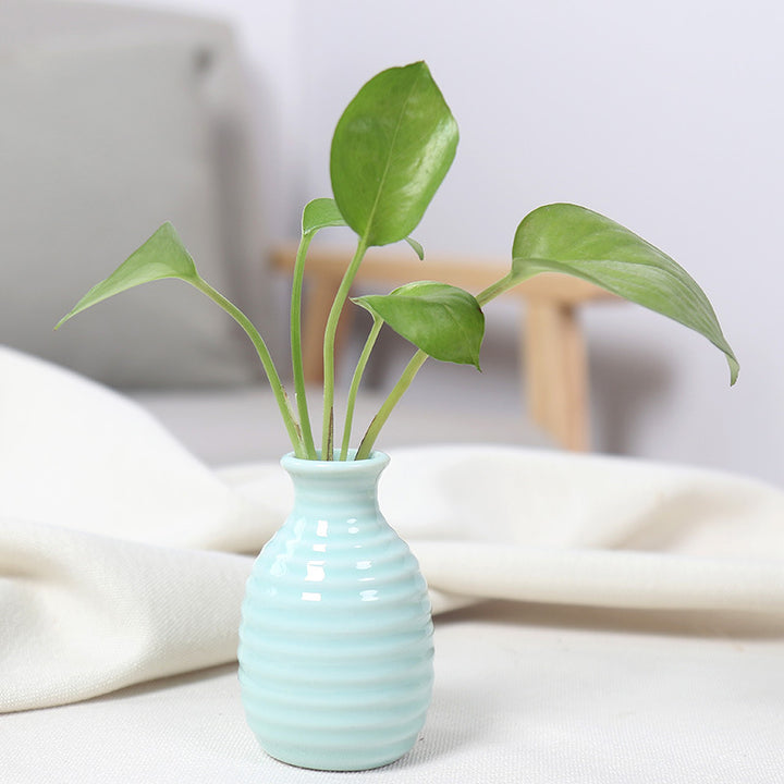 Artistic Ceramic Miniature Vases Stornfeild