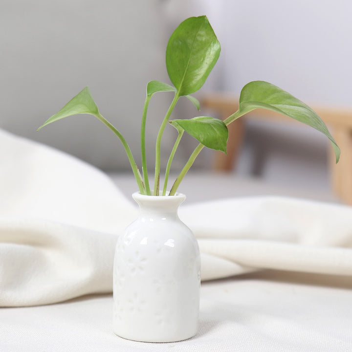 Artistic Ceramic Miniature Vases Stornfeild