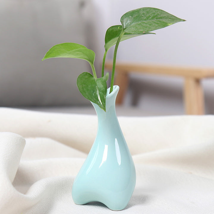 Contemporary Ceramic Plant Vase Stornfeild