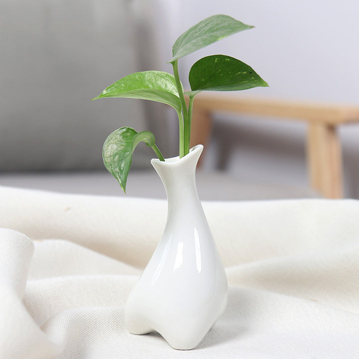 Contemporary Ceramic Plant Vase Stornfeild