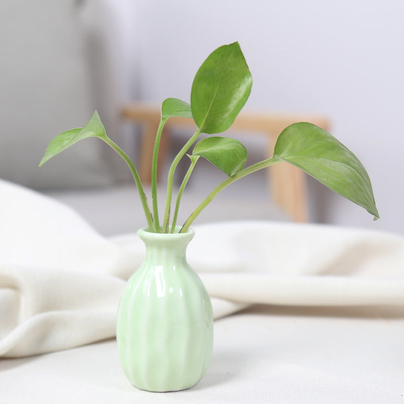 Artistic Ceramic Miniature Vases Stornfeild