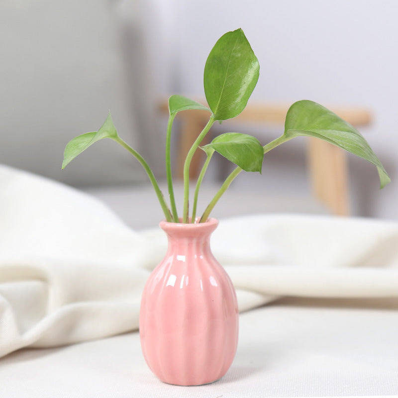 Artistic Ceramic Miniature Vases Stornfeild