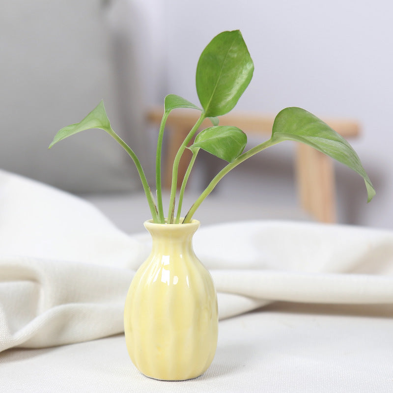 Artistic Ceramic Miniature Vases Stornfeild