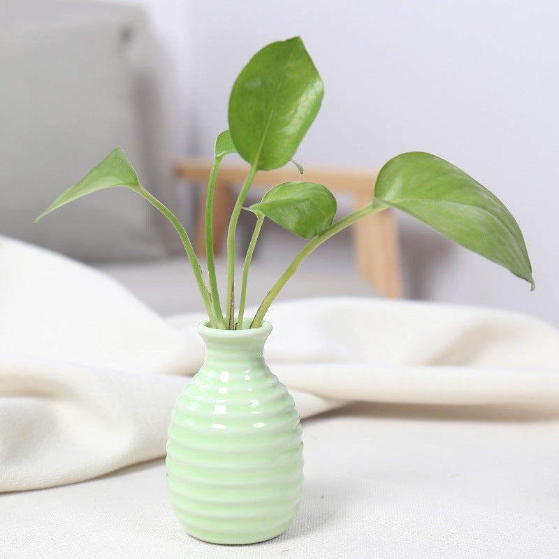 Modern Textured Ceramic Bud Vase Stornfeild