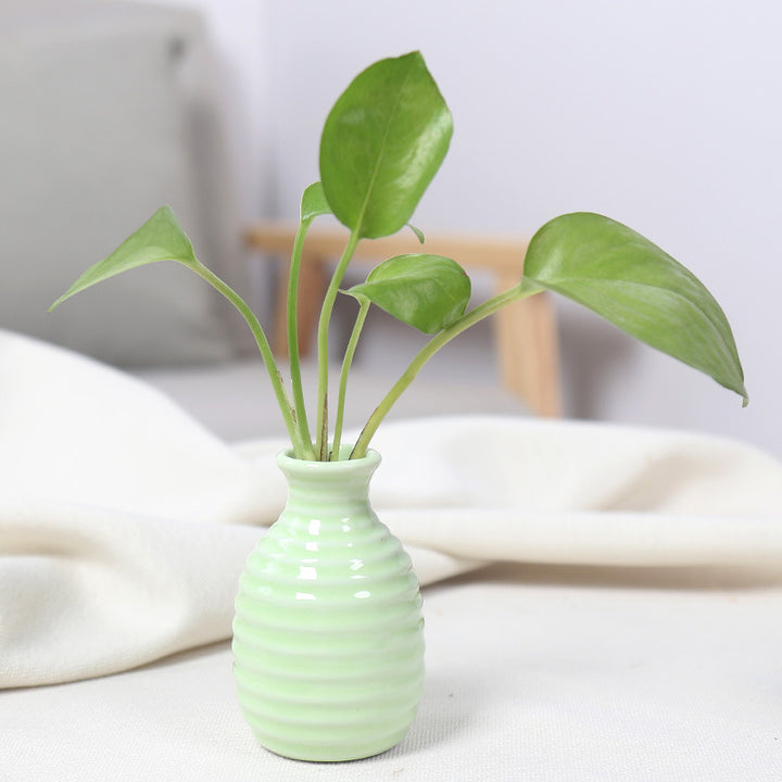 Modern Textured Ceramic Bud Vase Stornfeild