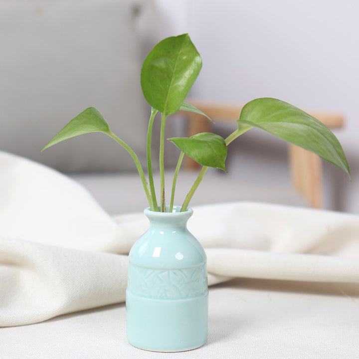 Miniature Ceramic Planter Stornfeild