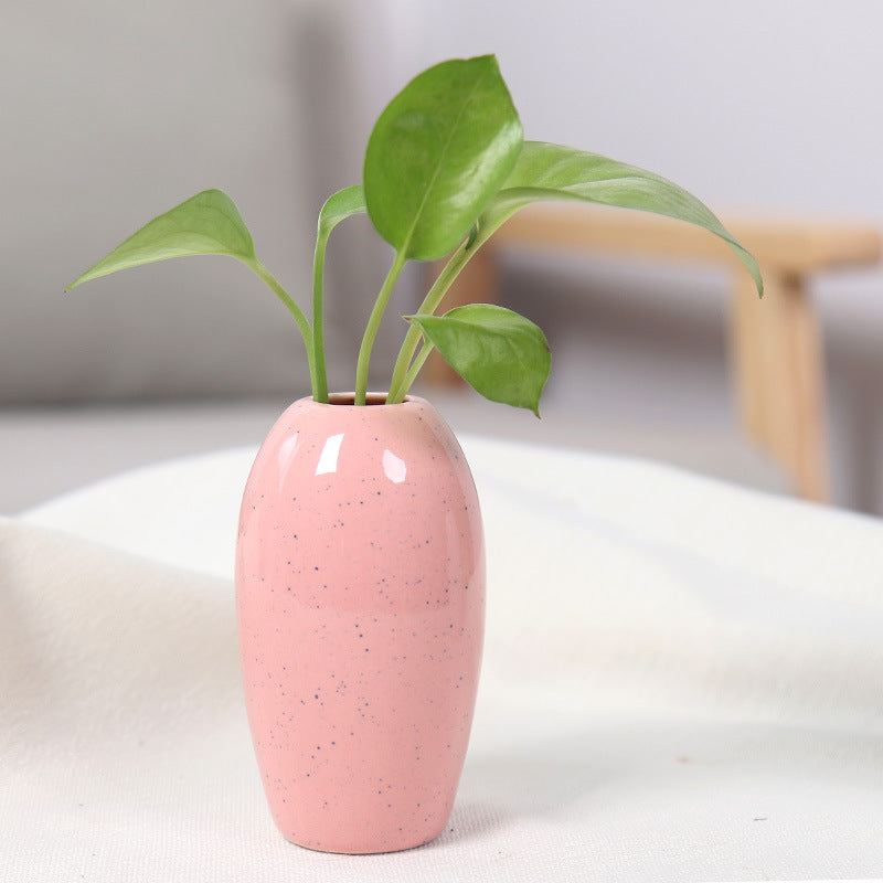 Elegant Ceramic Planter Stornfeild
