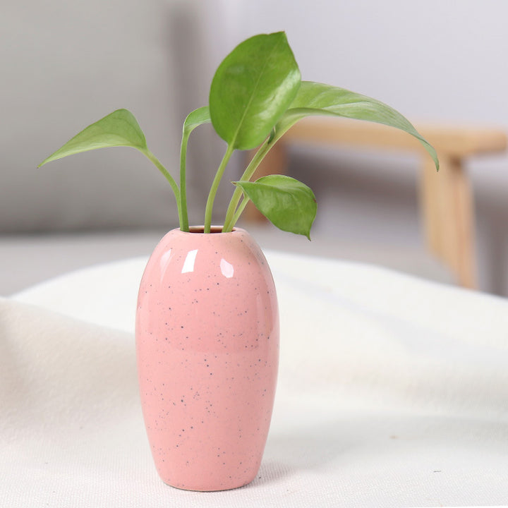 Elegant Ceramic Planter Stornfeild
