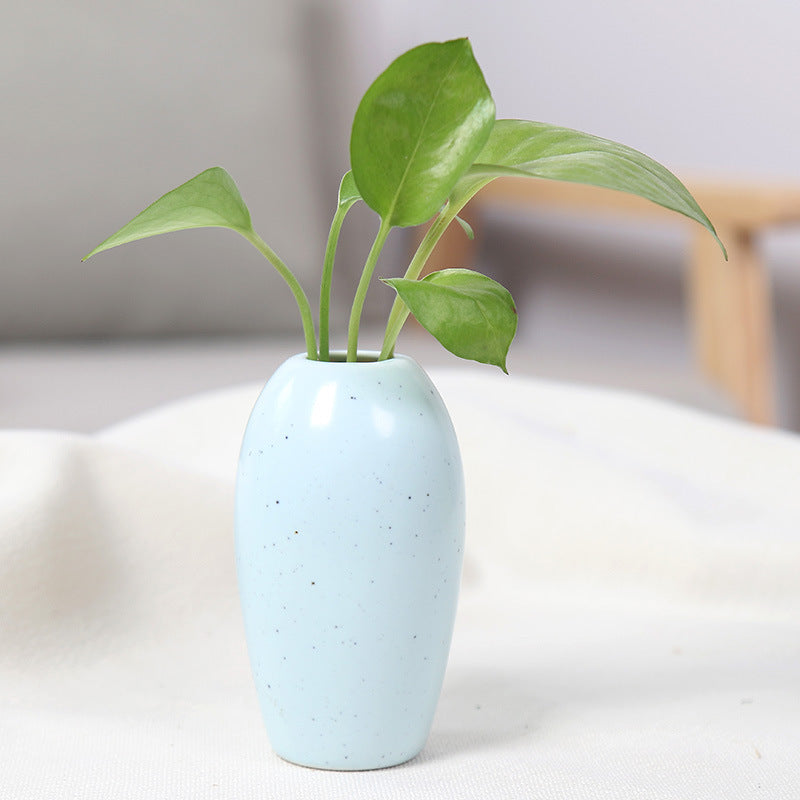 Elegant Ceramic Planter Stornfeild