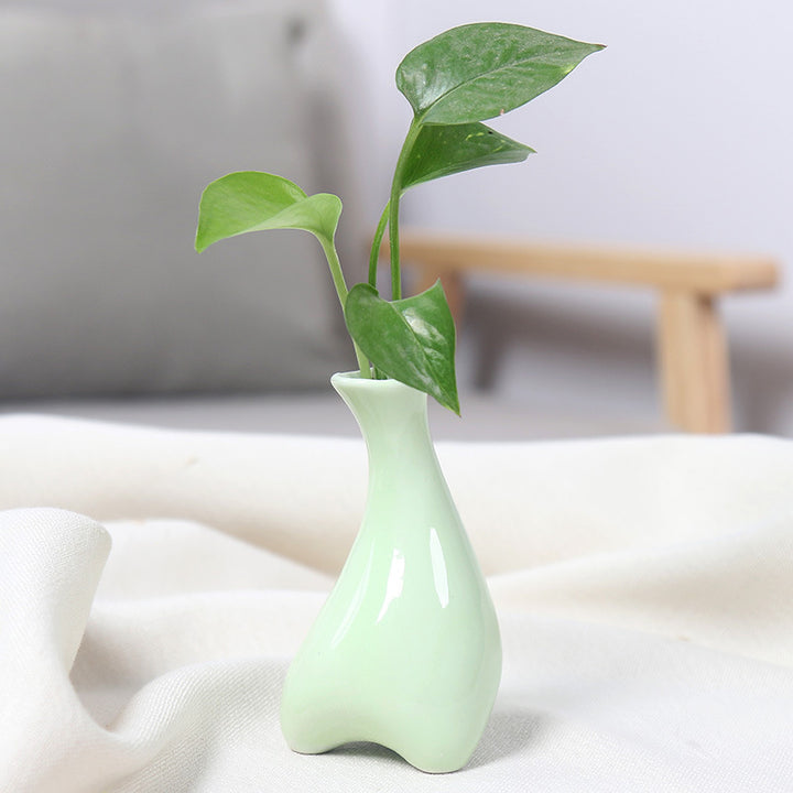 Contemporary Ceramic Plant Vase Stornfeild