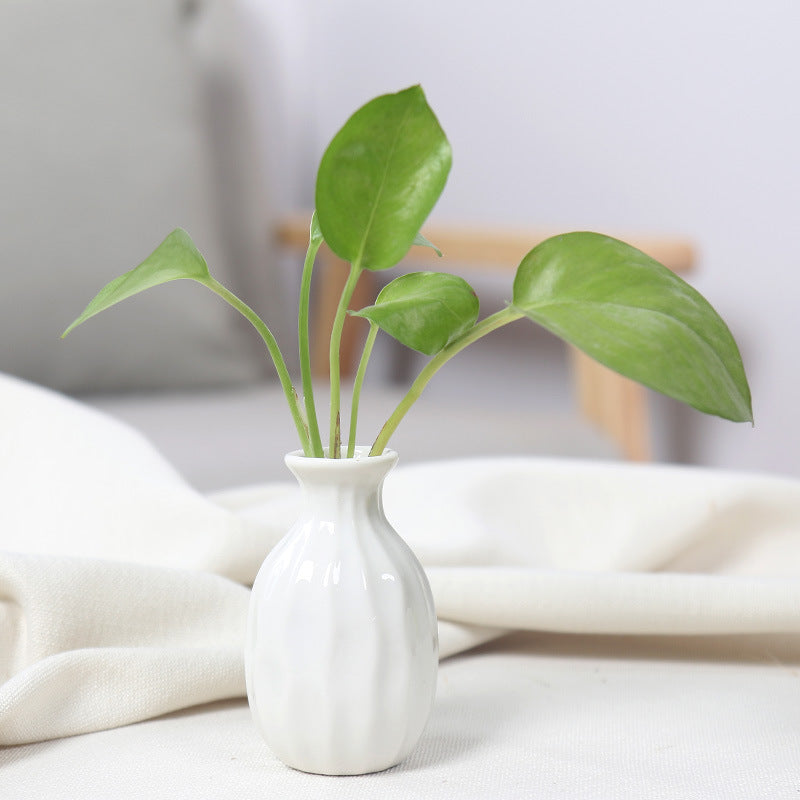 Artistic Ceramic Miniature Vases Stornfeild