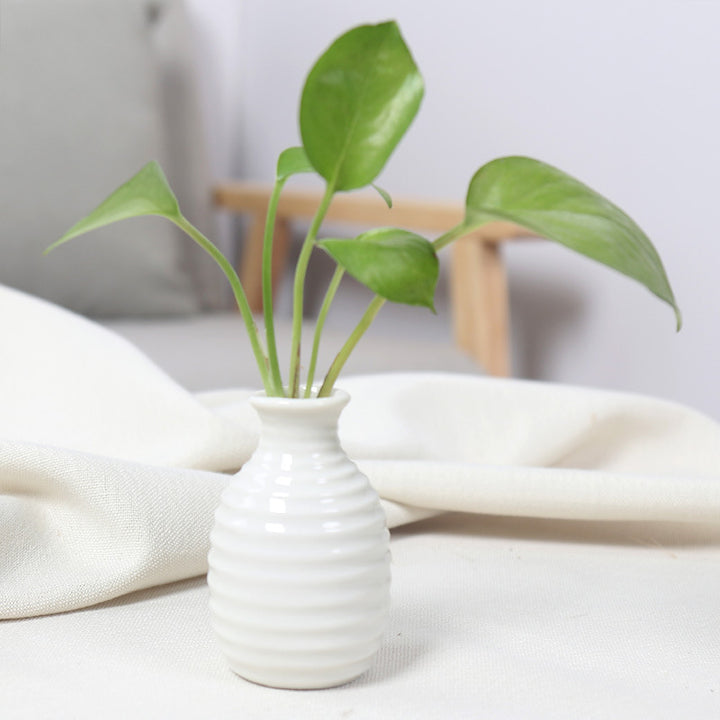 Modern Textured Ceramic Bud Vase Stornfeild