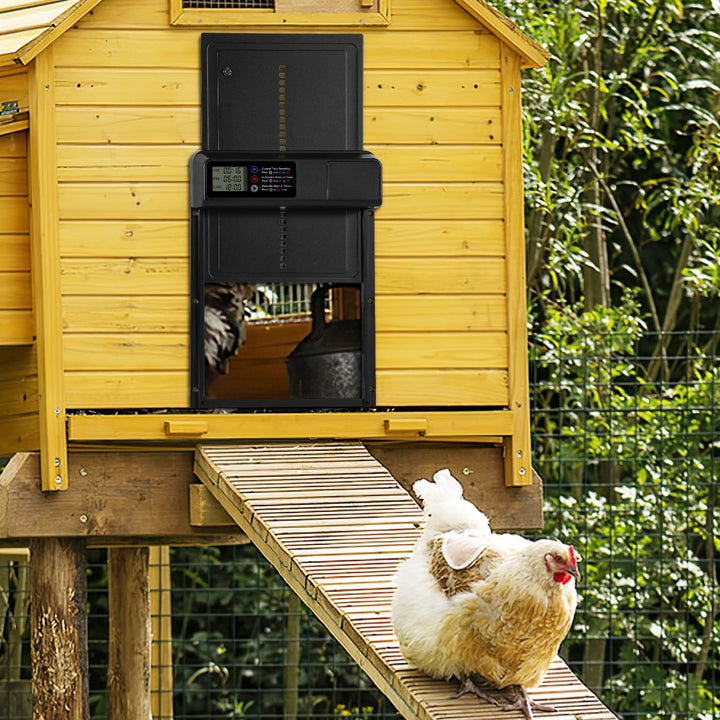 Chicken flap automatic timer | Stornfield