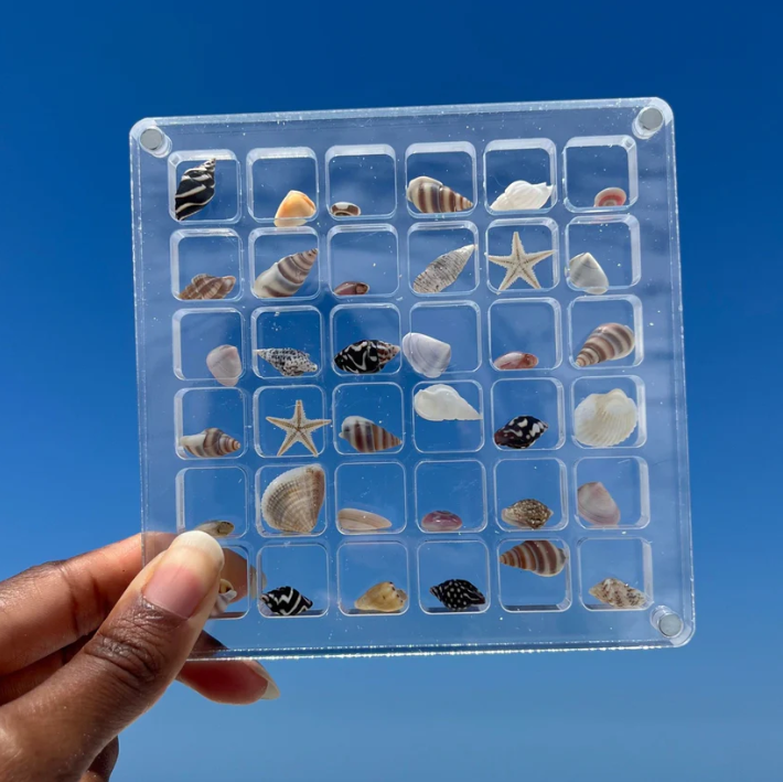 Acrylic Treasure Keeper | Stylishly Store Your Sea Collection | Stornfield