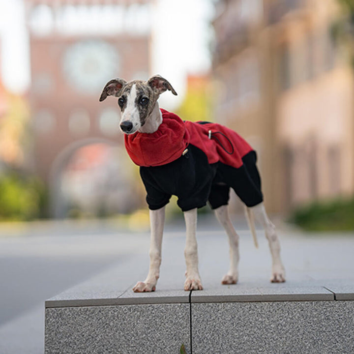 Stornfield | Full Protection Fleece Dog Bodysuit with Detachable Collar