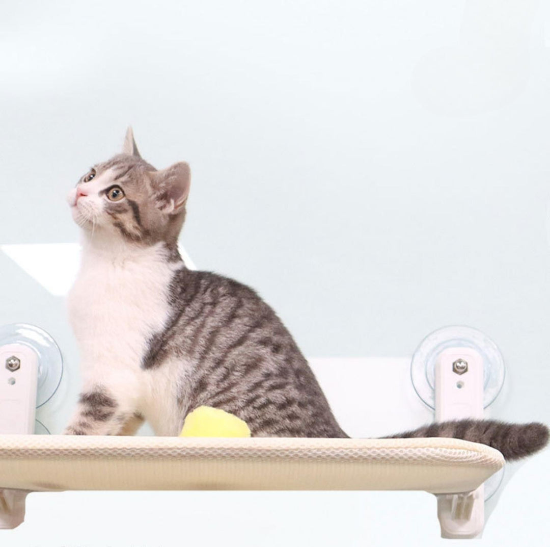Cozy Cat Window Hammock | Stornfield