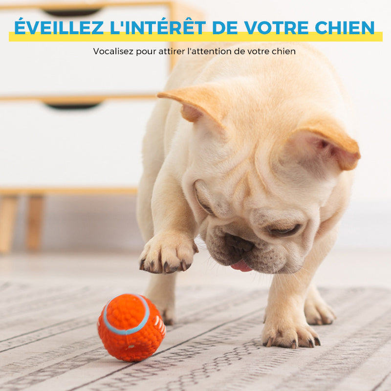 Immortal toy for aggressive chewers | Stornfield